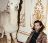 KING CHARLES // Alpaca Artwork and Content Photoshoot