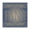 "Pang" — Album Concept Design