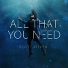 All That You Need Cover Artwork