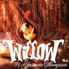 Willow - Jasmine Thompson - Visualiser