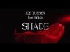 Preview image for the video "Shade".