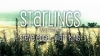 Preview image for the video "Starlings - title sequence".