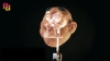 Preview image for the video "Stop Motion Puppet Head Armature ".