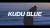 Preview image for the video "Kudu Blue music video".