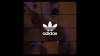 Preview image for the video "adidas Originals – Deerupt (Social Videos)".