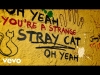 Preview image for the video "The Rolling Stones - Stray Cat Blues (Lyric Video)".
