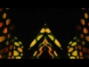 Preview image for the video "Bioroot - High".