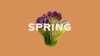 Preview image for the video "MTV INT – SPRING".