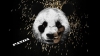 Preview image for the video "Create a six-second video inspired by Desiigner’s track Panda".