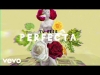 Preview image for the video "Perfecta - Luis Fonsi - Farruko".