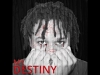 Preview image for the video "My Destiny".